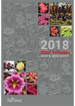 Catalogs & Brochures