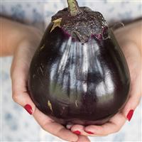 Meatball Eggplant