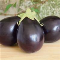 Early Midnight Eggplant