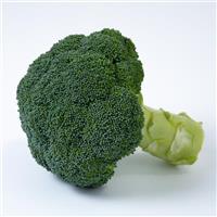 Empire Broccoli