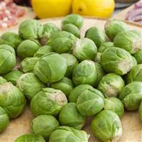 Long Island Green Brussels Sprouts