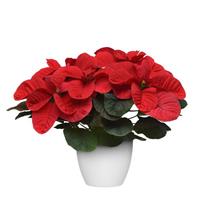Christmas Mouse<sup>®</sup> Red Poinsettia