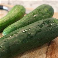 Sweet Success Cucumber