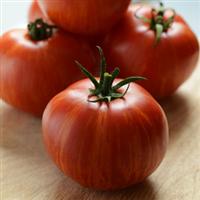 SkyReacher Tomato