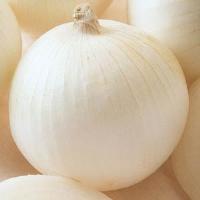 Sierra Blanca Onion