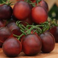 Indigo™ F1 Ruby Tomato