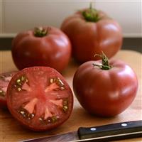 Heirloom Marriage™ Cherokee Carbon Tomato