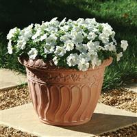 Mirage™ White Petunia