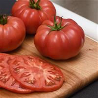 WonderStar™ Pink Tomato