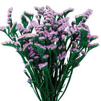 Space Lavender Limonium