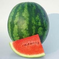 Shiny Boy Watermelon