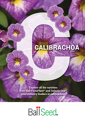 2023 Calibrachoa Brochure Cover from Ball Seed