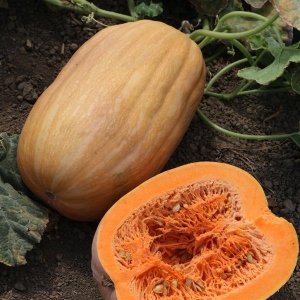 Buff-colored pumpkin cut in half with orange interior