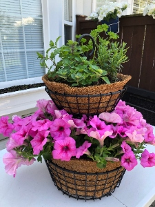 Outdoor mixed container with bright pink flowers and green herbs and vegetables