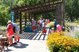 People attending an outdoor event under a pergola