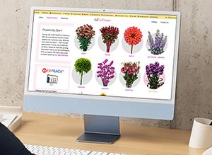 Desktop computer with flowers on the screen