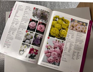 Opened catalog with lots of flower bloom photos