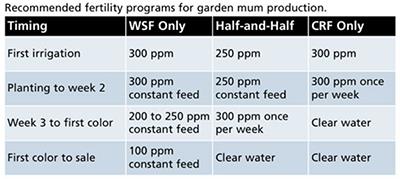 Chart explaining mum fertility programs