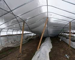 Collapsed roof of a greenhouse due to heavy snow