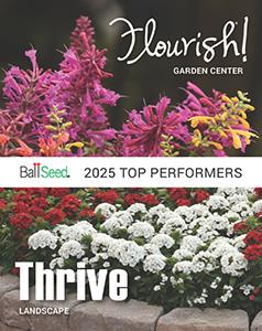 Brochure cover with colorful outdoor plants