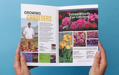 Hands holding an open brochure filled with flower photos