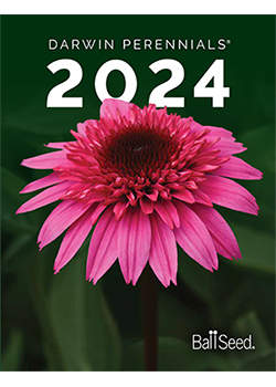 2022<br/>Darwin Perennials