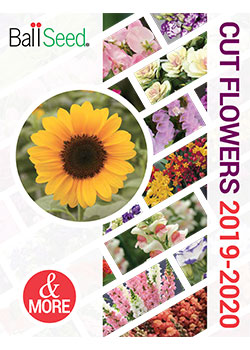 2019-2020<br/>Cut Flower Seed Catalog
