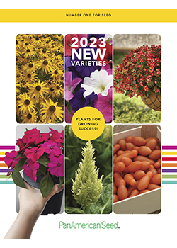 2023 New Varieties<br>PanAmerican Seed
