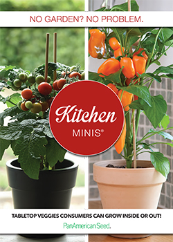<br/>Kitchen Minis Brochure