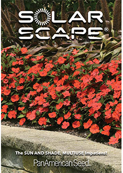 Solarscape Brochure