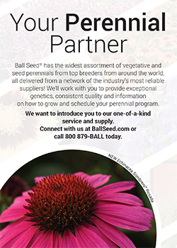 Print Ad - Ball Seed Perennials