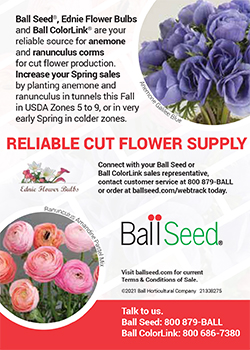 Print Ad - Cut Flower Supply