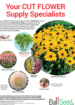 Print Ad - Cut Flower Specialists