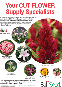 Print Ad - Cut Flower Specialists SUMMER