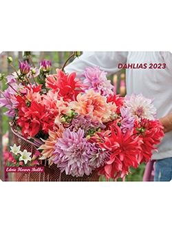 2023 Dahlias<br>Ednie Flower Bulbs