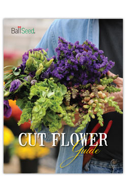 Ball Seed<br/>Cut Flower Guide