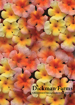 2025<br>Dickman Farms