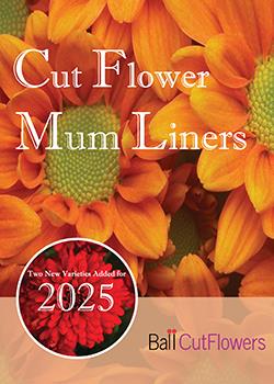 2025<br>Mum Liners