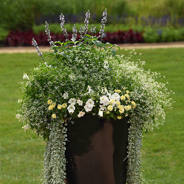 Bridal Blooms container