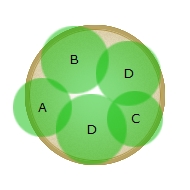 Elegant Shade planting diagram