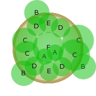 Bridal Blooms planting diagram