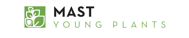 Mast Young Plants