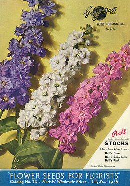 Ball Catalog from 1936