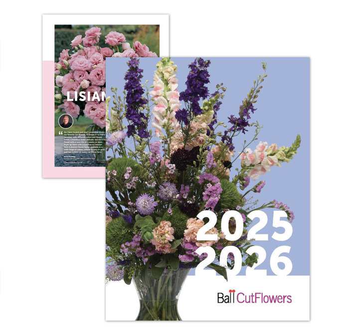 Ball CutFlowers catalog