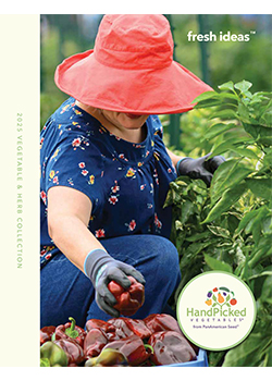 PanAmerican Seed Vegetables