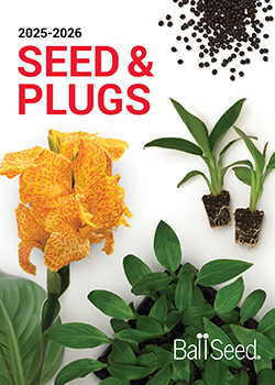 2025-2026<br>Ball Seed