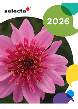 2026<br>Selecta One