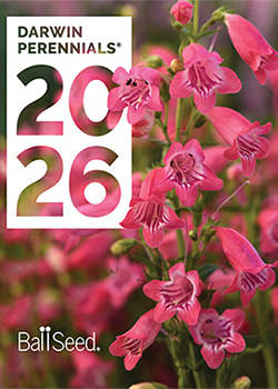 2026<br>Darwin Perennials