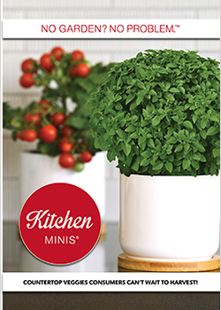 2024 Kitchen Minis Brochure