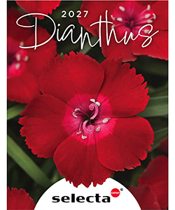 2027 Dianthus Brochure Now Available From Selecta One®